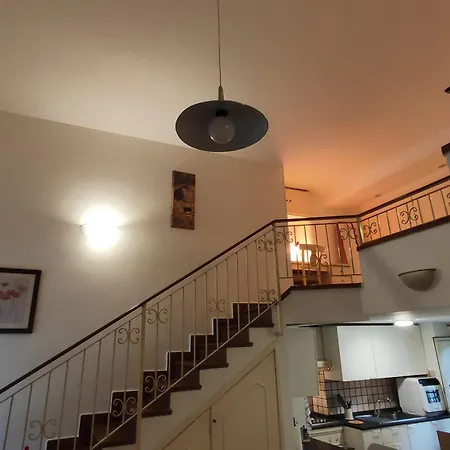 Denise A Poggio Ameno