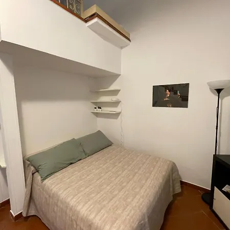 Denise A Poggio Ameno